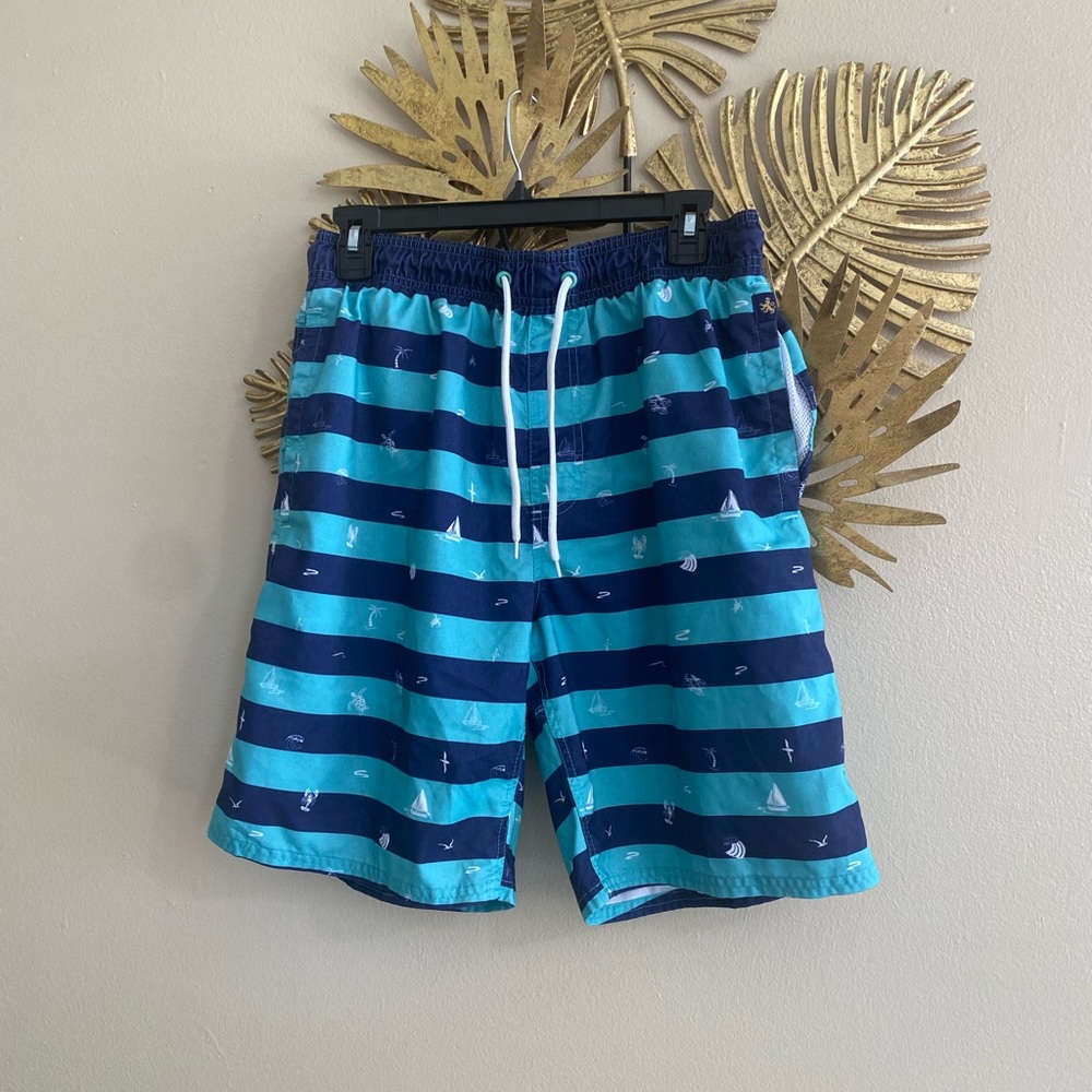 Blue Striped Men's Swim Shorts